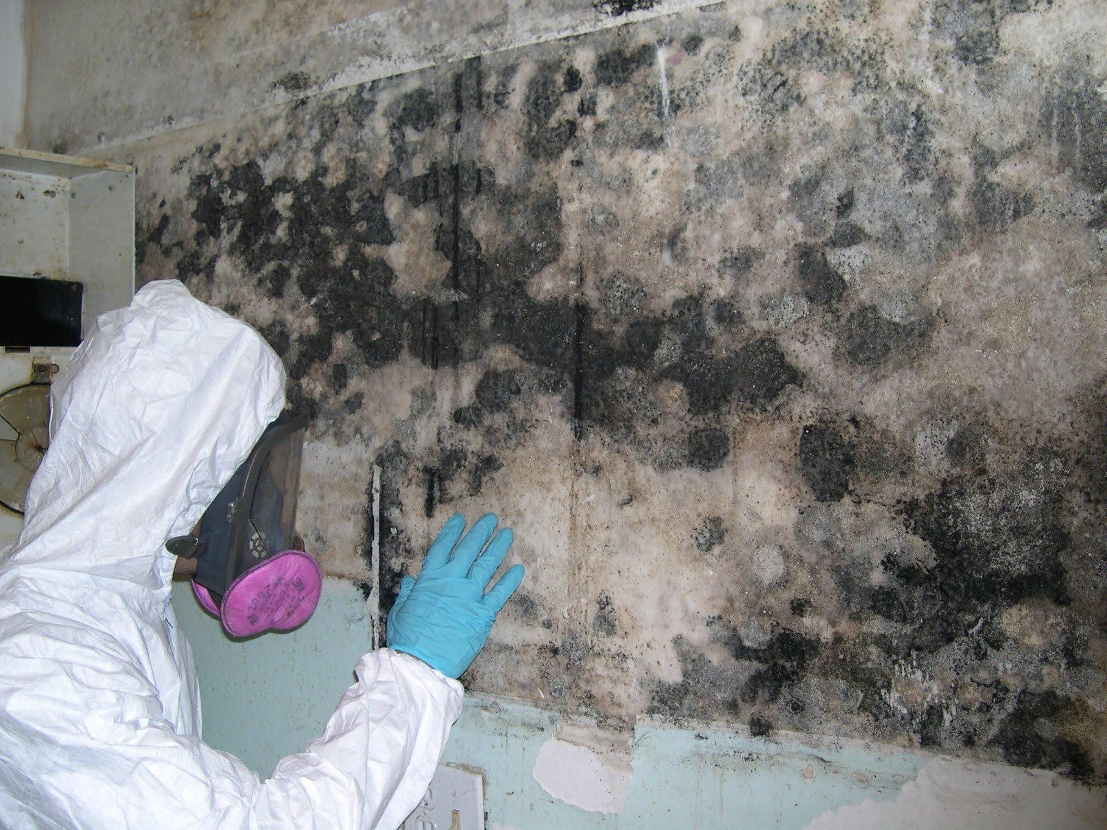 mould removal Penrith